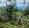 【うつくしま百名山】会津に住むおじさんが山開きの日に三岩岳（2,065ｍ）と窓明山（1,843ｍ）を周回して登った話。その１【登山口～三岩岳山頂】