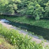 5月28日(水)秩父フライフィールドの河川情報