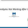 Brief Guide on “How to Fix Malwarebytes Not Working On  Windows 10”.