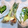 農作業を手伝ったら野菜を貰ったよ（密とは？）。