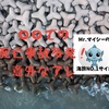 海で見落としがちな危険。死亡事故多発！それは○○！！　釣り　海水浴　海　遊泳中　海遊び　危険　死亡　事故　ビーチ　海岸　防波堤　テトラポット