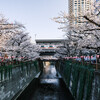 ３月の東京散歩／恵比寿〜中目黒あたりを歩く