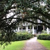 サウスカロライナ州のMagnolia Plantation ＆Gardensに行ってきた…