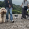 2025年6月3日🐾 今日のマヤ暦