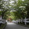 【神社仏閣】松尾大社