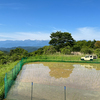 田んぼ除草から、手作り納豆作成へ