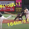 5/28 朗希２失点も４勝目！～MAX164キロ９奪三振はおみごと！～