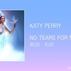 【歌詞・和訳】Katy Perry / NO TEARS FOR NEW YEAR'S / ケイティ・ペリー / ノー・ティアーズ・フォー・ニューイヤーズ