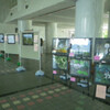 2013巡回写真展　ＩＮ県庁