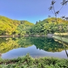 霧ヶ谷津池（埼玉県深谷）