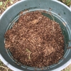 タマネギ栽培に使うモミガラ堆肥を用意したいのだけれど