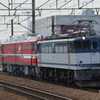 EH800 甲種輸送 EF65 2081 + EH800-9を新座で撮影