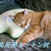 首・肩対策【高反発まくらモットン】口コミや評判も紹介