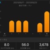 5/17〜5/23のラン