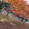 大阪発！京都紅葉1.5日旅