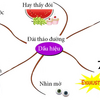 Biến chứng của bệnh tiểu đường như thế nào?