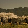 明日香・石舞台古墳の桜
