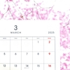 2025年3月の家計簿