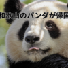 ついに和歌山のパンダが帰国します