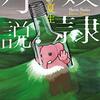 奴隷小説　桐野夏生