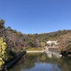 25日の年賀状締め切りが終わると、一気に年末に。その年の瀬に思うこと。