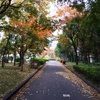 秋のジョギング