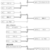 結果発表～！第34回青森県カーリング選手権大会トライアル
