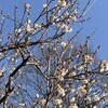 眠い季節