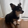 まろにー3946日目