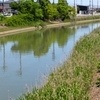 正法寺川（徳島県徳島）