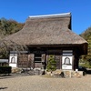 11月17日　綾部の安国寺、福知山の長安寺に紅葉狩りに