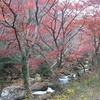 花貫渓谷　紅葉並木