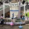 報告・三井アウトレットパーク入間・魚類展示・金魚釣り体験