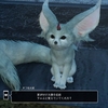 ＦＦ１５はじめました