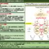 日本政府が世界に発信するDFFT のコンセプト「Trusted Web」の具体策を聞く（３）