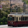 都電荒川線各駅停車の旅・王子駅前駅・飛鳥山駅『桜咲く飛鳥山公園へ③音無親水公園』