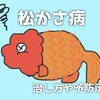 松かさ病の治し方！初期症状なら治療可能！予防や治療薬も解説します