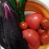 暑くてみんなくたびれています＆夏野菜
