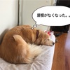 アタシのおうちが。。。