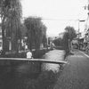 京都スナップ