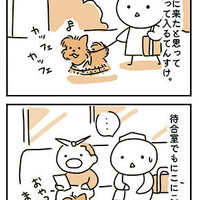【犬漫画】検査に行ってきました（結果報告）