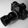 【レンズ・船橋】NIKKOR-P Auto 105mm F2.5 非Ai とふなばし三番瀬  January 2019