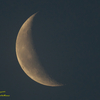 6月7日（月曜日）