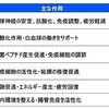 Forbes: 「夏風邪は馬鹿が引く」は嘘、冬の風邪より怖いその正体