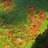 colours on palette