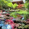 紫陽花ツーリング　室生寺へ　前編