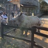 東武動物公園