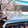 『今ありて』が開く春の扉、甲子園のはじまり、センバツの未来はここから開く