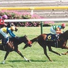 2021年　第24回（82回）優駿牝馬（オークス）（GⅠ）東京競馬場　芝2400m    消去法データ