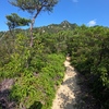 山行記　右田ヶ岳　塚原ルート往復